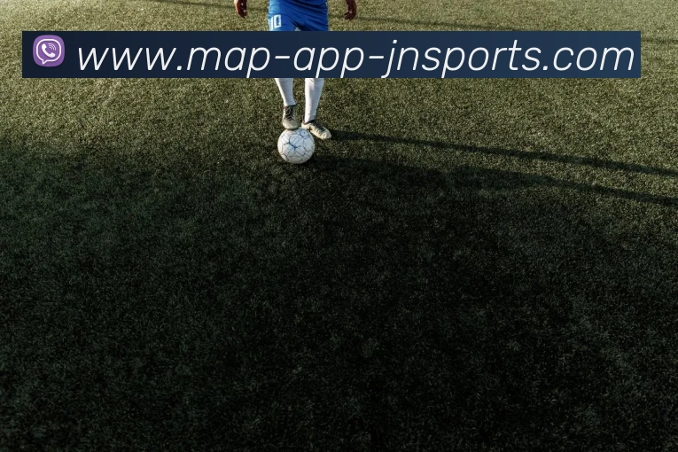 江南体育APP平台生态图